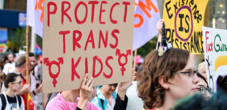 Republican lawmakers pass bill to criminalise puberty blockers and send doctors to jail for helping trans kids