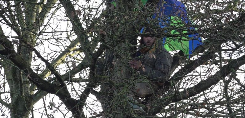 Anti-HS2 protesters camp in trees to halt railway construction