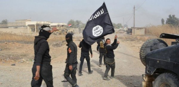 L’EI renaît de ses cendres en Syrie et en Irak