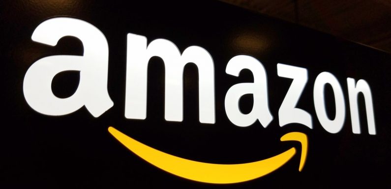 Des employés d’Amazon dénoncent des menaces de licenciement pour avoir défendu la planète