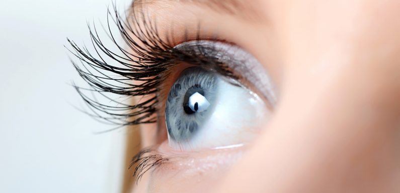 Le saviez-vous ? Les personnes qui ont les yeux bleus descendent tous du même ancêtre