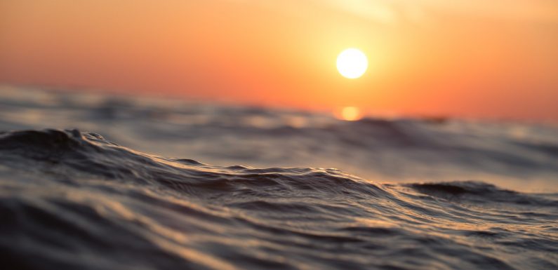 Le réchauffement des océans atteint un nouveau record : la biodiversité n’a pas le temps de s’adapter
