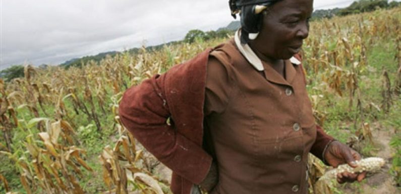 Zimbabwe: des millions de personnes en proie à la faim