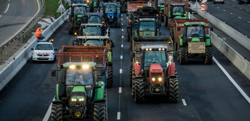 Agriculture : dans les champs de l’impasse productiviste