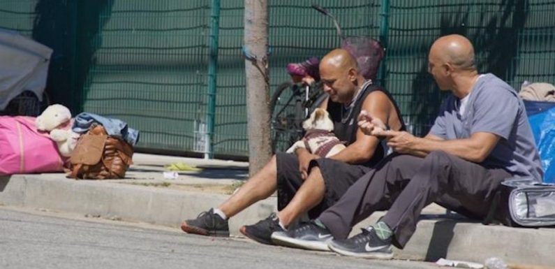 Ce vétérinaire sillonne les rues pour soigner gratuitement les animaux des sans-abri en Californie