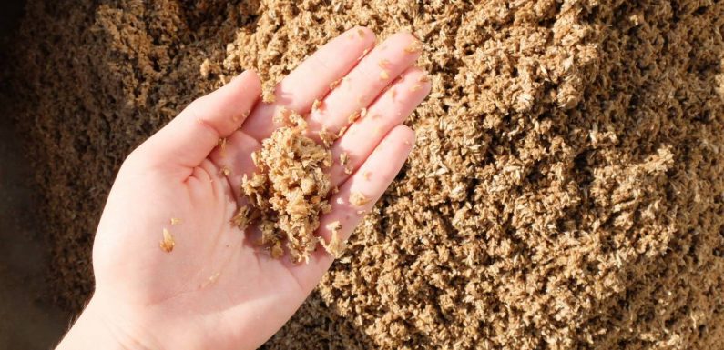 Nouvelle Aquitaine : Elles transforment les résidus de céréales des brasseurs en crackers