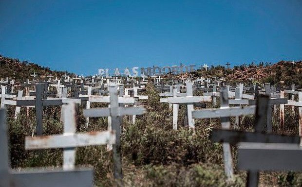 L’Australie refuse presque toutes les demandes d’asile des fermiers blancs persécutés en Afrique du Sud (MàJ)