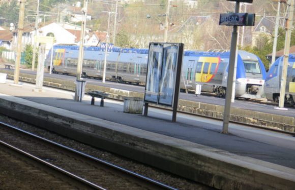 Bar-le-Duc (55) : Ibrahim écope de 6 mois de prison avec sursis pour avoir agressé sexuellement Céline, 21 ans, dans un train