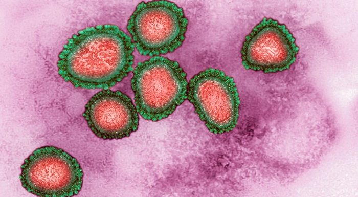 À l’origine du coronavirus, la « mystérieuse toux » d’un ressortissant qatari