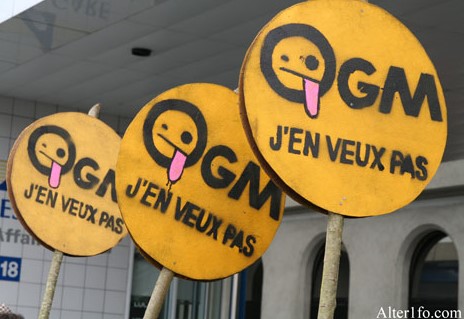 OGM : le marteau pilon du Conseil d’État s’abat sur l’innovation (I)