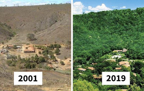 Photographer And His Wife Plant 2 Million Trees In 20 Years To Restore A Destroyed Forest And Even The Animals Have Returned