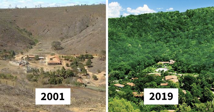 Photographer And His Wife Plant 2 Million Trees In 20 Years To Restore A Destroyed Forest And Even The Animals Have Returned