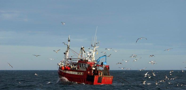 La pêche «non dissociable» du futur accord commercial Royaume-Uni-UE, selon Michel Barnier