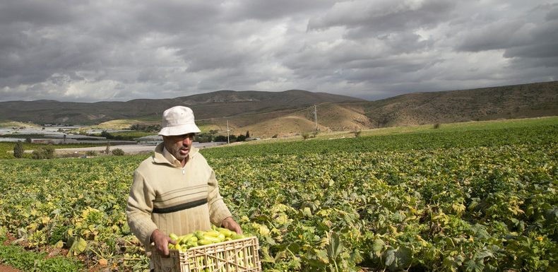 Israël bloque les exportations agricoles palestiniennes en représailles au boycott de ses produits