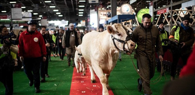 Les vegans ont-ils eu la peau des éleveurs ?