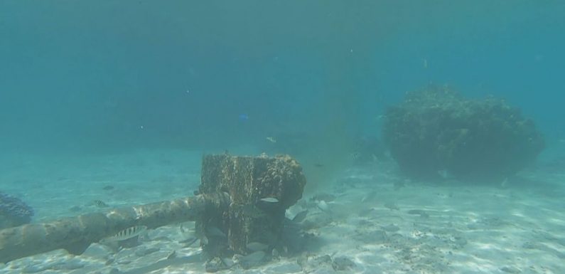 Pollution dans le lagon à Paea