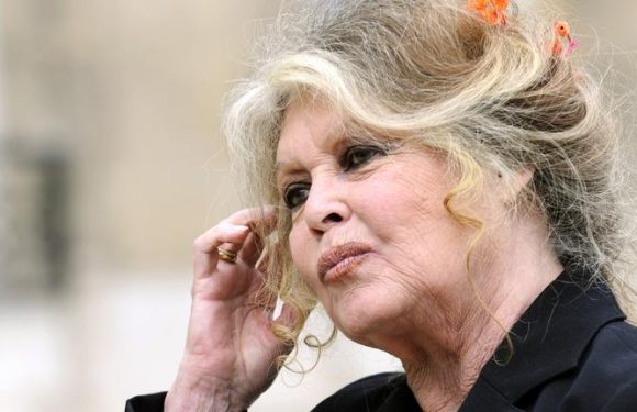 César : Brigitte Bardot vole au secours de Roman Polanski qui «sauve le cinéma de sa médiocrité»