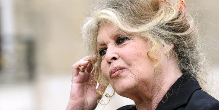 César : Brigitte Bardot vole au secours de Roman Polanski qui «sauve le cinéma de sa médiocrité»