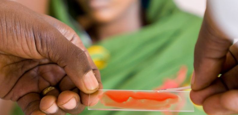 Paludisme chez les femmes enceintes : un nouveau vaccin