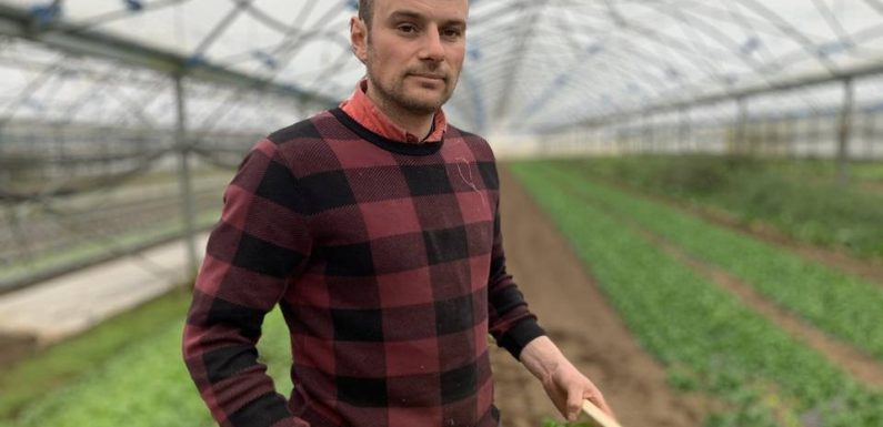 VIDEO. Agriculture : Passer au « tout bio », «cela ne se fait pas si facilement»… Rencontre avec Ludovic, maraîcher en Alsace