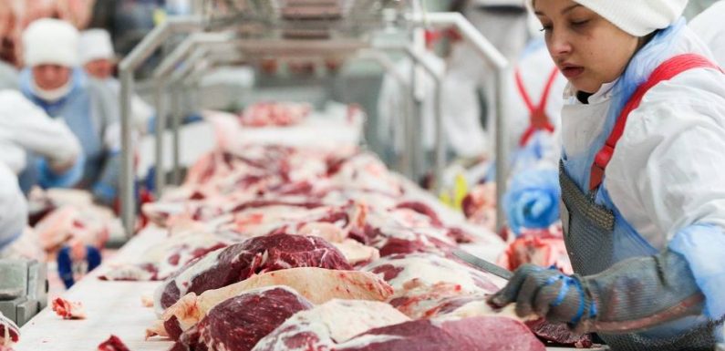 Une ONG veut imposer une taxe de 25 % sur la viande pour en réduire la consommation