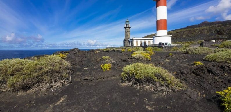 Espagne : Un bébé tout juste né secouru parmi des migrants au large des Canaries