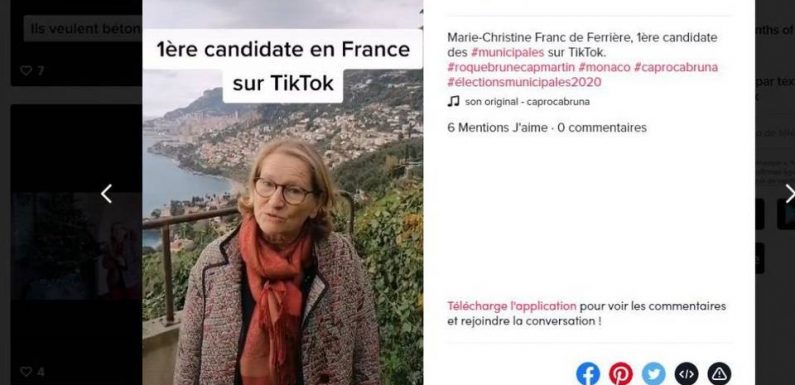 Municipales 2020 : Facebook, YouTube et même TikTok… Les candidats de petites communes font aussi campagne sur les réseaux sociaux