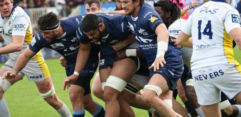 Pro D2 : « Ce serait extraordinaire »… Sensation de la saison, Colomiers ne dirait pas non au défi du Top 14