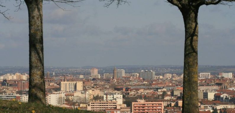 Municipales 2020 à Toulouse : Quelles sont les idées qui sortent des sentiers battus pour verdir la Ville rose ?