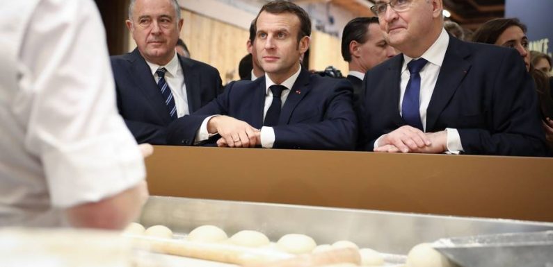 Pesticices : Les terres agricoles non cultivées pourraient entraîner des « revenus », annonce Macron