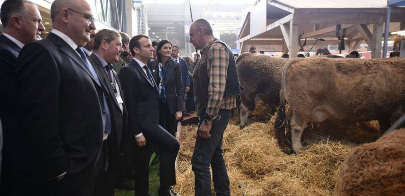 Salon de l’Agriculture : Emmanuel Macron reçoit mardi les syndicats de la profession