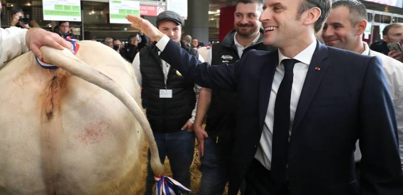 Salon de l’agriculture : Macron juge « impossible » de revaloriser les pensions actuelles des agriculteurs