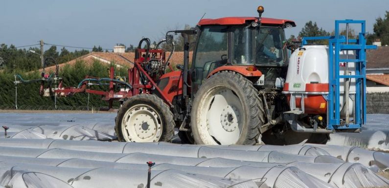 Les maires anti-pesticides contestent les distances d’épandage devant la justice