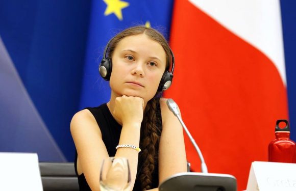 Canada : Un logo représentant Greta Thunberg se faisant agresser sexuellement provoque un tollé