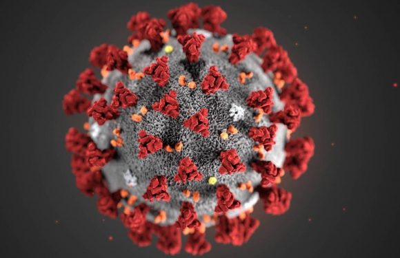 Le coronavirus pourrait être une partie de plaisir à côté des maladies futures