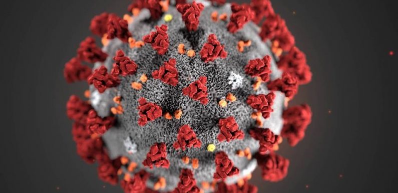 Le coronavirus pourrait être une partie de plaisir à côté des maladies futures