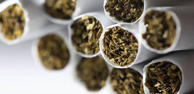 Pays-de-la-Loire : Polémique au conseil régional après l&rsquo;aide versée à un producteur de tabac