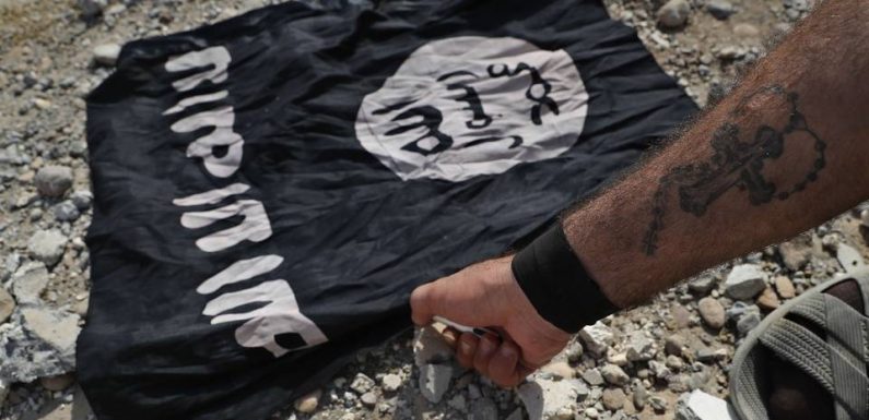 Daesh « intact » malgré la mort de Baghdadi