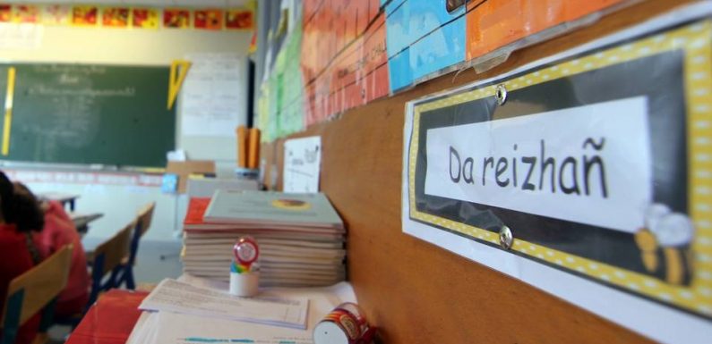 « Un plan Marshall » réclamé par un collectif pour « sauver la langue bretonne »