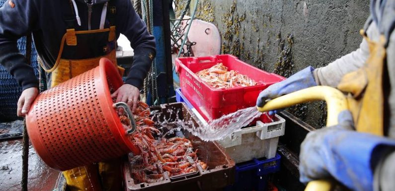 Brexit : Les pêcheurs des Hauts-de-France sont les plus concernés par une éventuelle restriction des eaux britanniques