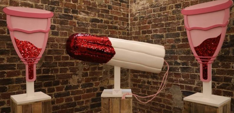VIDEO. Clitoris, poils, culottes tachées… A Londres, le musée du vagin déconstruit les idées reçues sur le sexe féminin
