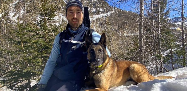 VIDEO. Alpes-Maritimes : À la rencontre de Zarko, le nouveau chien d’intervention du Peloton de gendarmerie de haute montagne