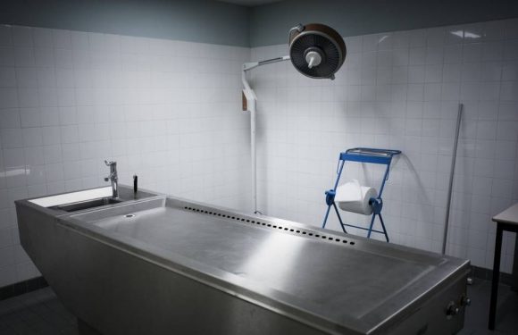 Paris : Au cœur d’un scandale, le Centre du don des corps à la science cambriolé