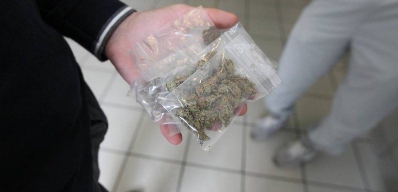 Vannes : Un faux panneau routier indique l’endroit où se trouvent les dealers