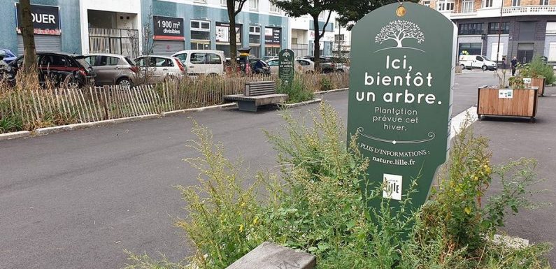 Municipales 2020 à Lille : La nature en ville est un enjeu majeur pour tous les candidats