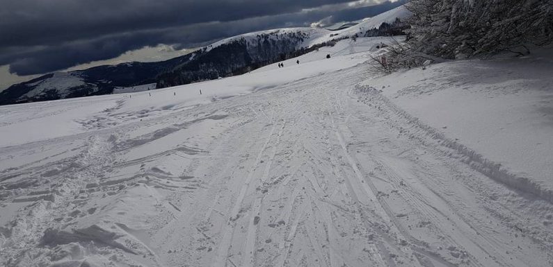 Vosges : Mais où est passée la neige ? Les stations de ski vosgiennes obligées de fermer leurs pistes