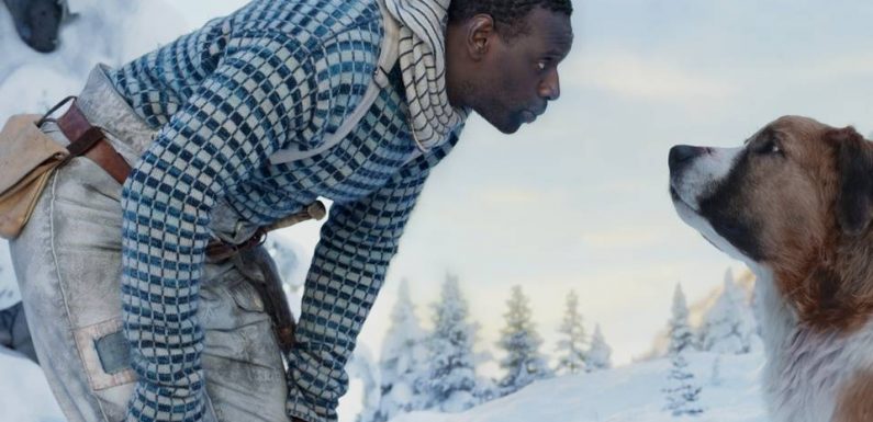 « L’Appel de la forêt » : Faux chiens et vrais humains racontent une épopée dans le Yukon
