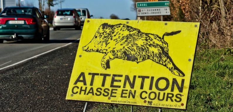 Le gouvernement prévoit-il vraiment d’ouvrir la saison de chasse dès le mois de juin ?
