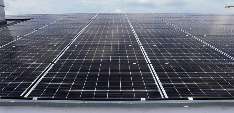 Comment Strasbourg veut doubler sa production d’énergie solaire avec des abris pour voitures au Zénith