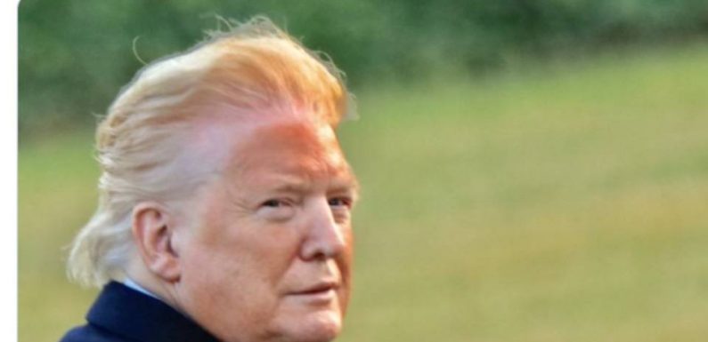 Donald Trump moqué sur le Web après la publication d’une photo peu flatteuse